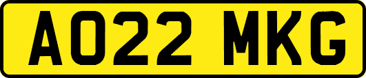AO22MKG