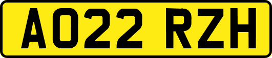 AO22RZH