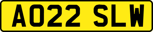 AO22SLW