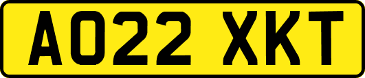 AO22XKT