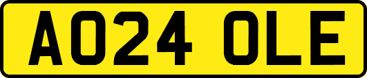 AO24OLE
