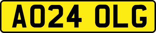 AO24OLG