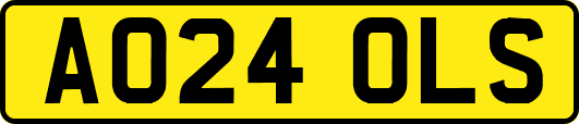 AO24OLS