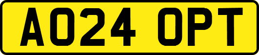 AO24OPT