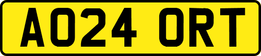 AO24ORT