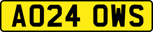AO24OWS