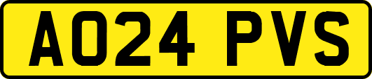 AO24PVS