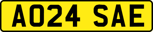 AO24SAE