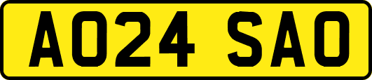AO24SAO