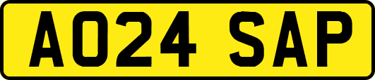 AO24SAP