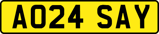 AO24SAY