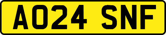 AO24SNF