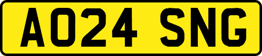 AO24SNG