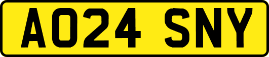 AO24SNY