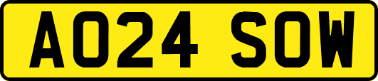 AO24SOW