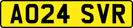 AO24SVR
