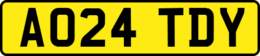 AO24TDY