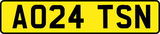 AO24TSN