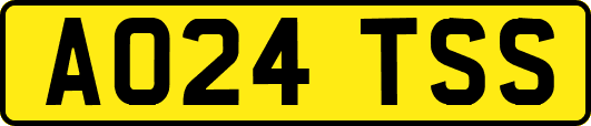 AO24TSS