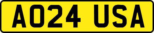 AO24USA