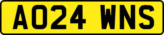 AO24WNS