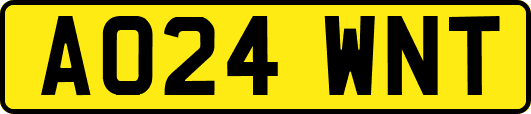 AO24WNT