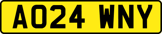 AO24WNY