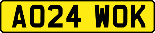 AO24WOK