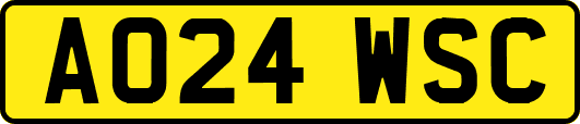 AO24WSC