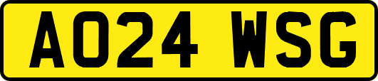AO24WSG
