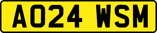 AO24WSM