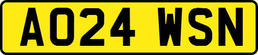 AO24WSN