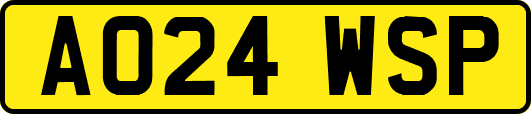 AO24WSP