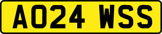 AO24WSS