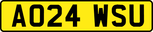 AO24WSU