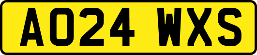 AO24WXS