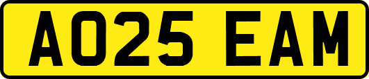 AO25EAM