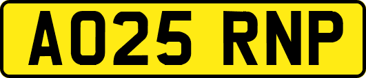AO25RNP
