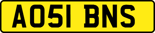 AO51BNS