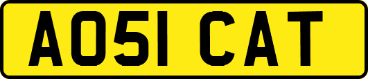 AO51CAT