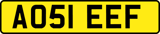 AO51EEF