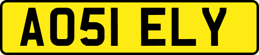 AO51ELY