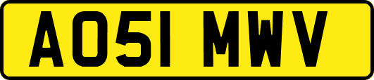 AO51MWV
