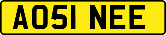 AO51NEE