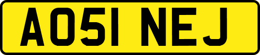 AO51NEJ