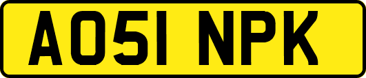 AO51NPK