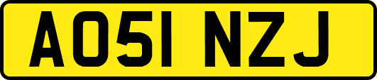 AO51NZJ