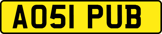 AO51PUB