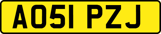 AO51PZJ