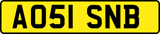 AO51SNB